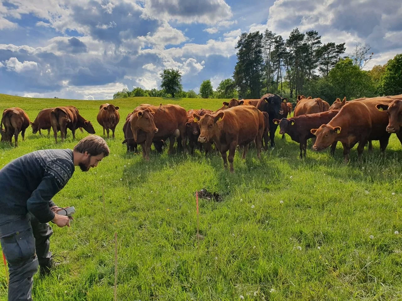 Fieldwork in the Schorfheide-Chorin