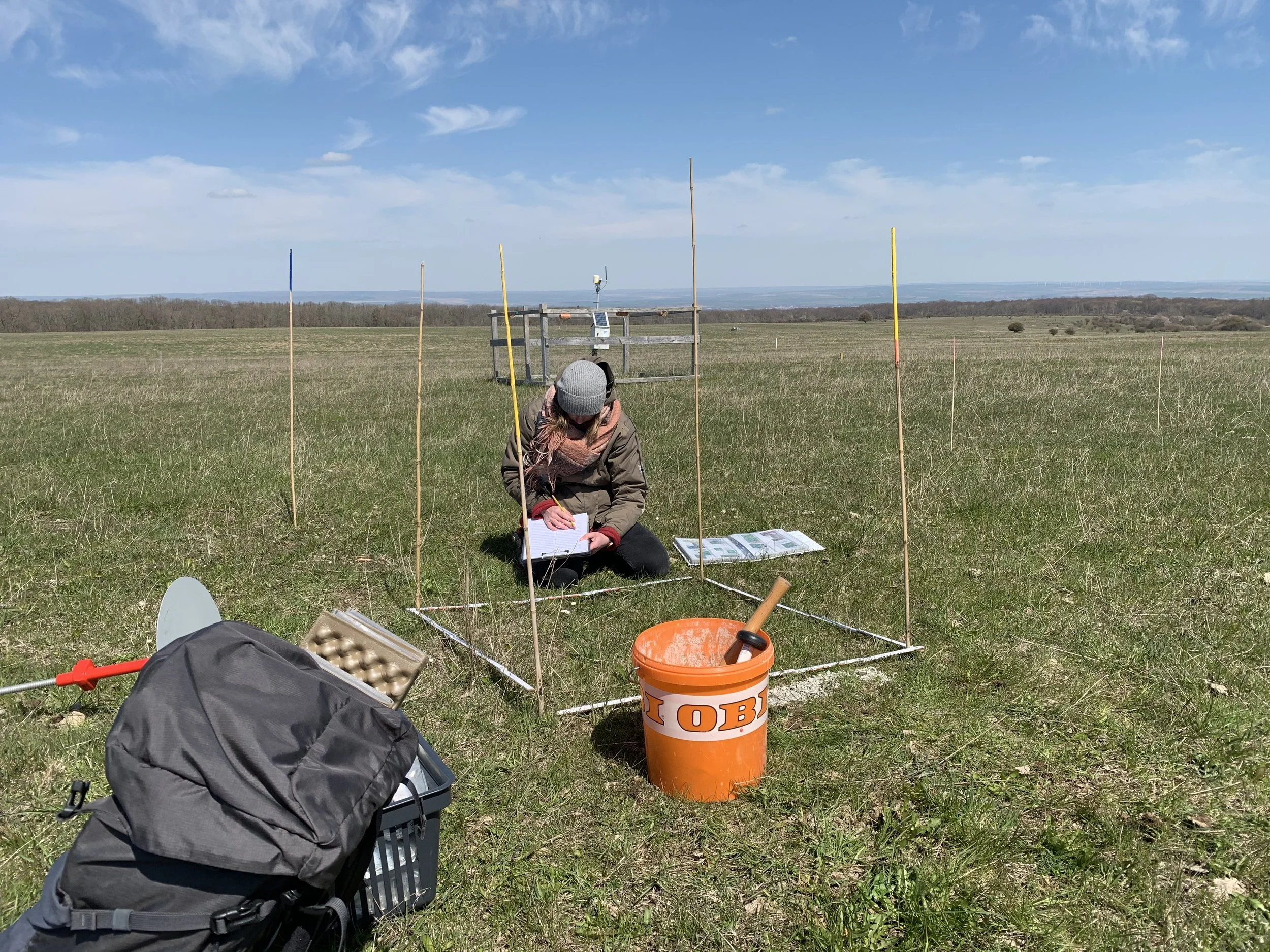 Fieldwork in the Hainich-Dün