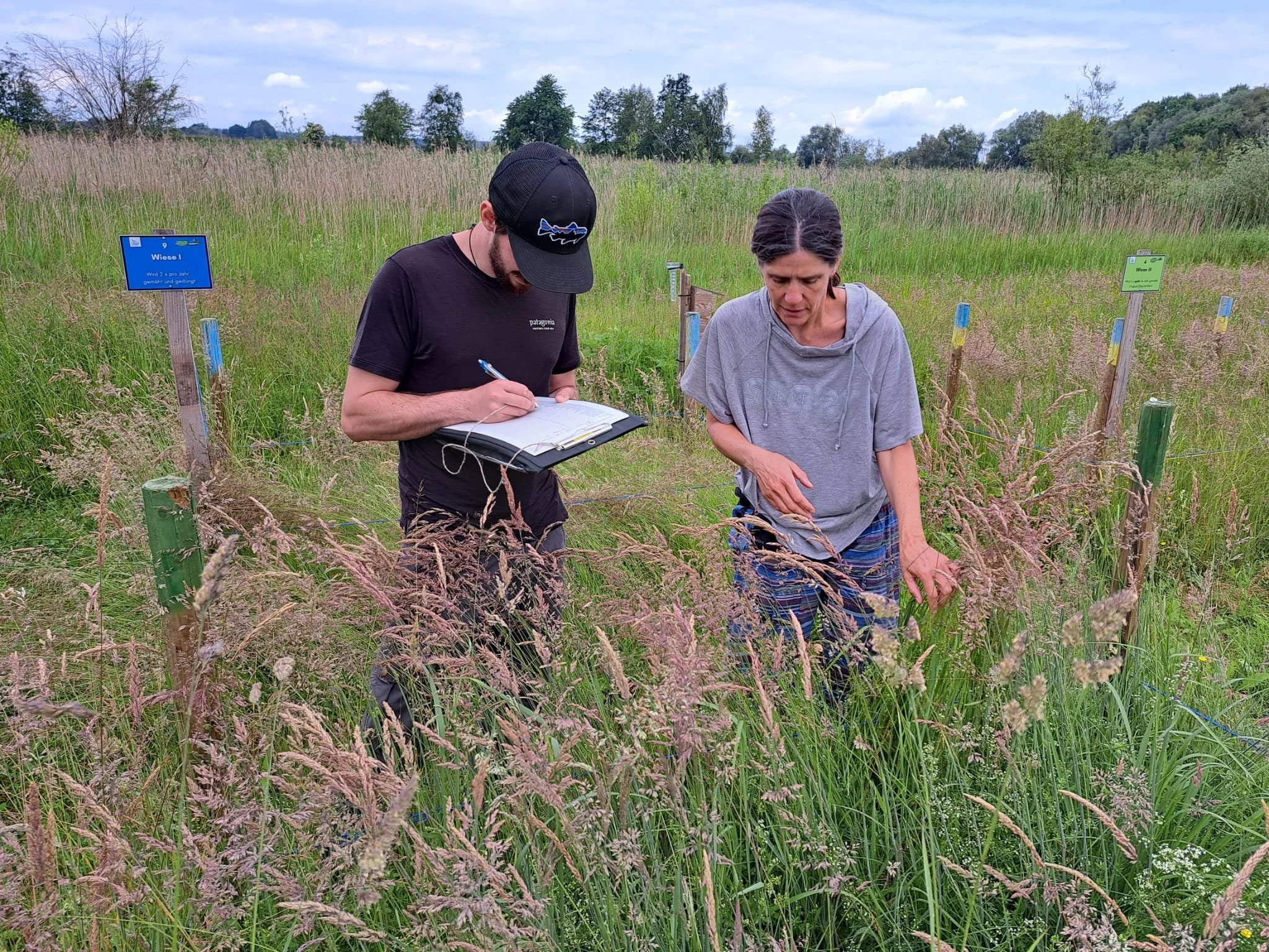 Vegetation survey by Karl Andraczek and Judith Hinderling for the Nature Concert Hall