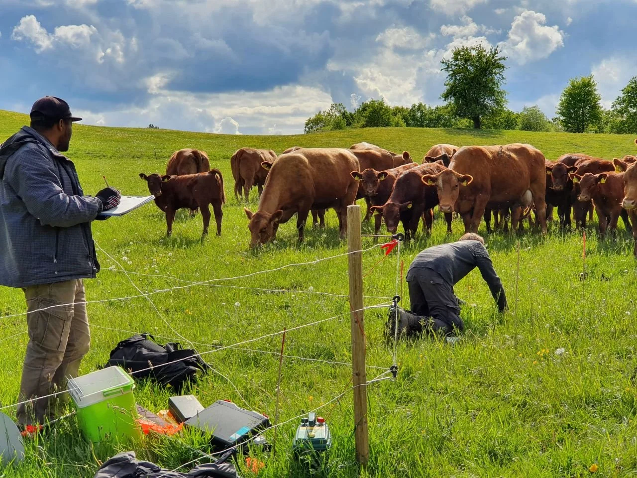 Fieldwork in the Schorfheide-Chorin; photo by Markus Rubenbauer