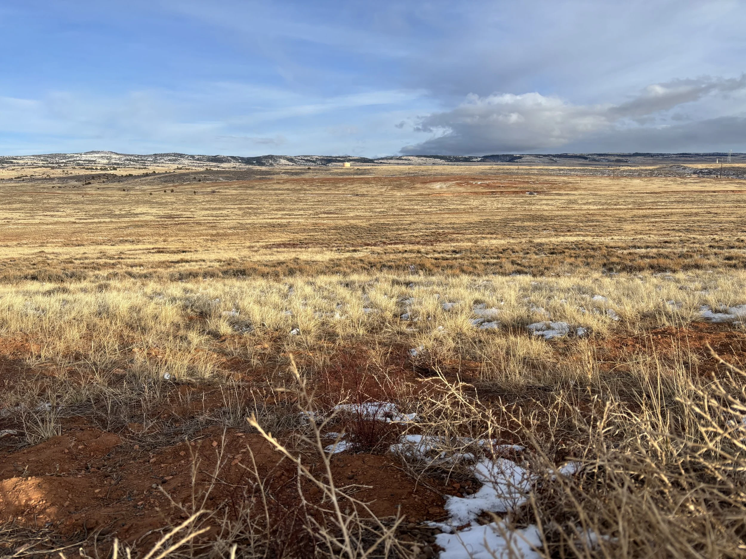 Grassland in Wyoming, Laramie; photo by Karl Andraczek
