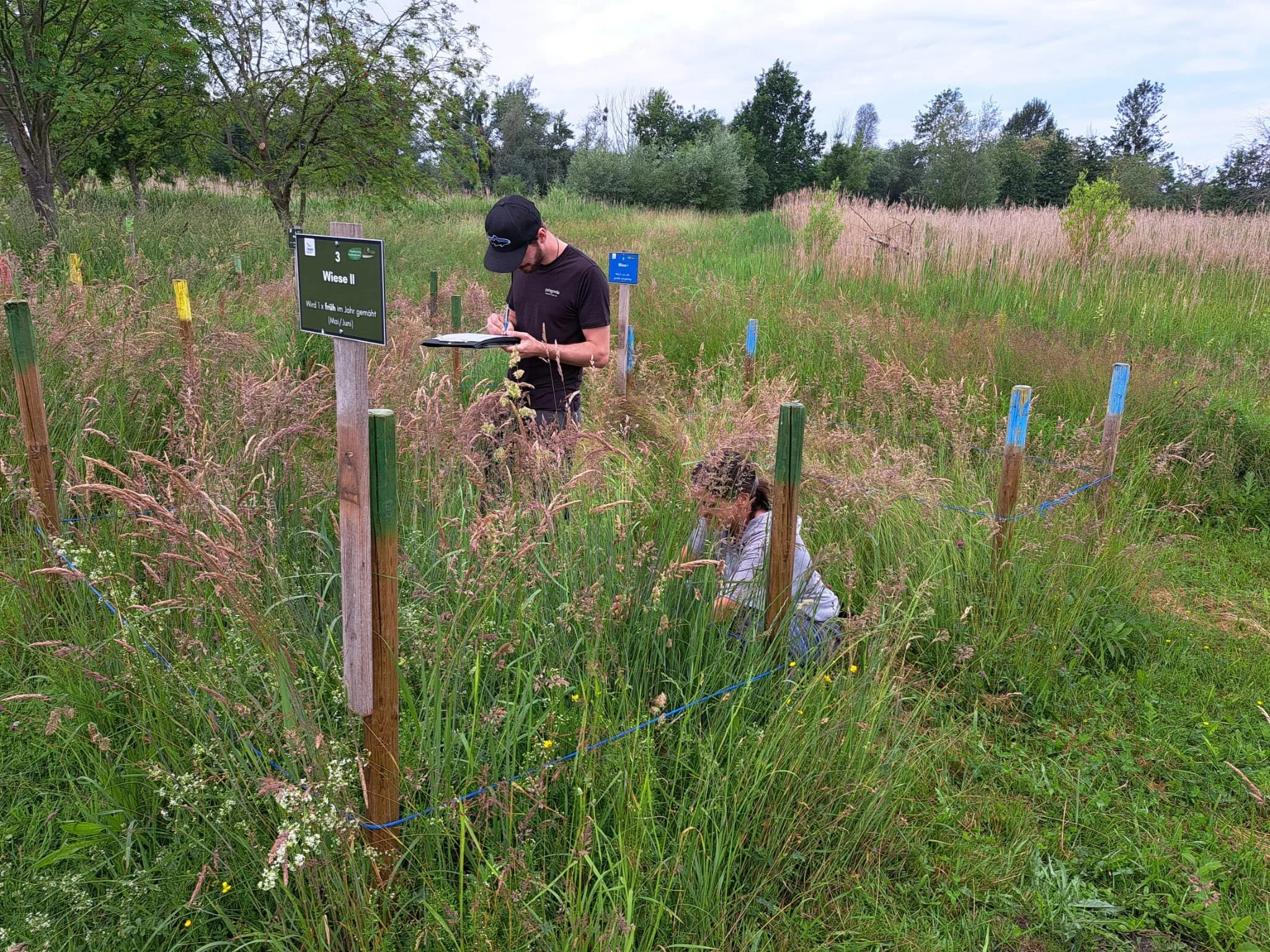 Vegetation survey for the citizen science project Nature Concert Hall