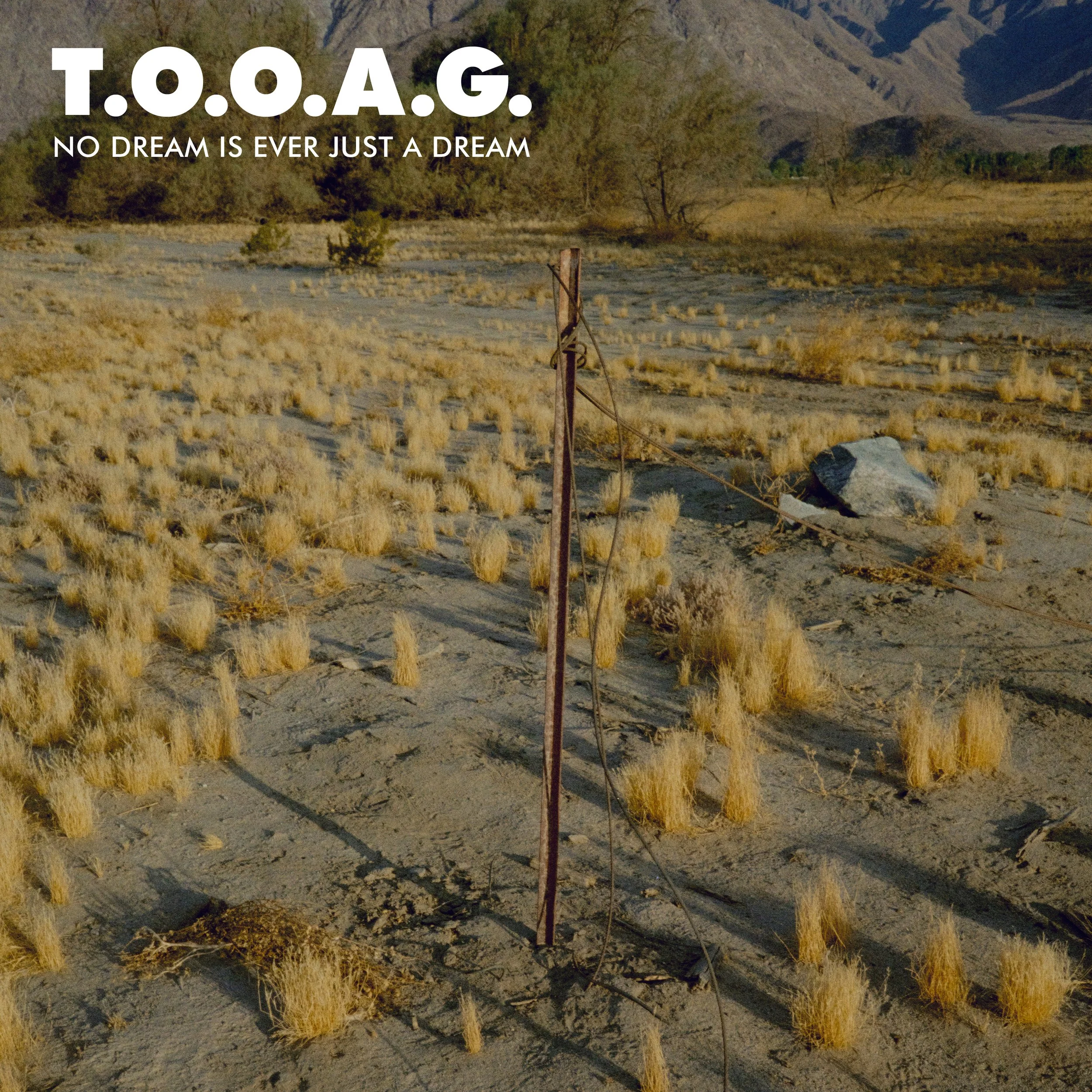 TOOAG_NEW8.jpg