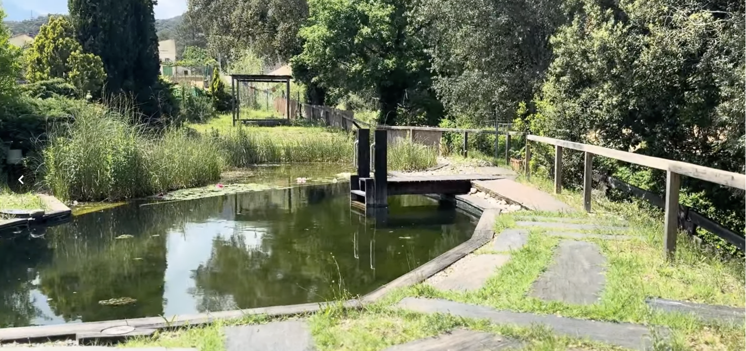 natural_pool.png