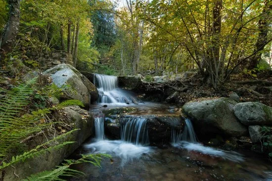 natural-park-montseny.jpg