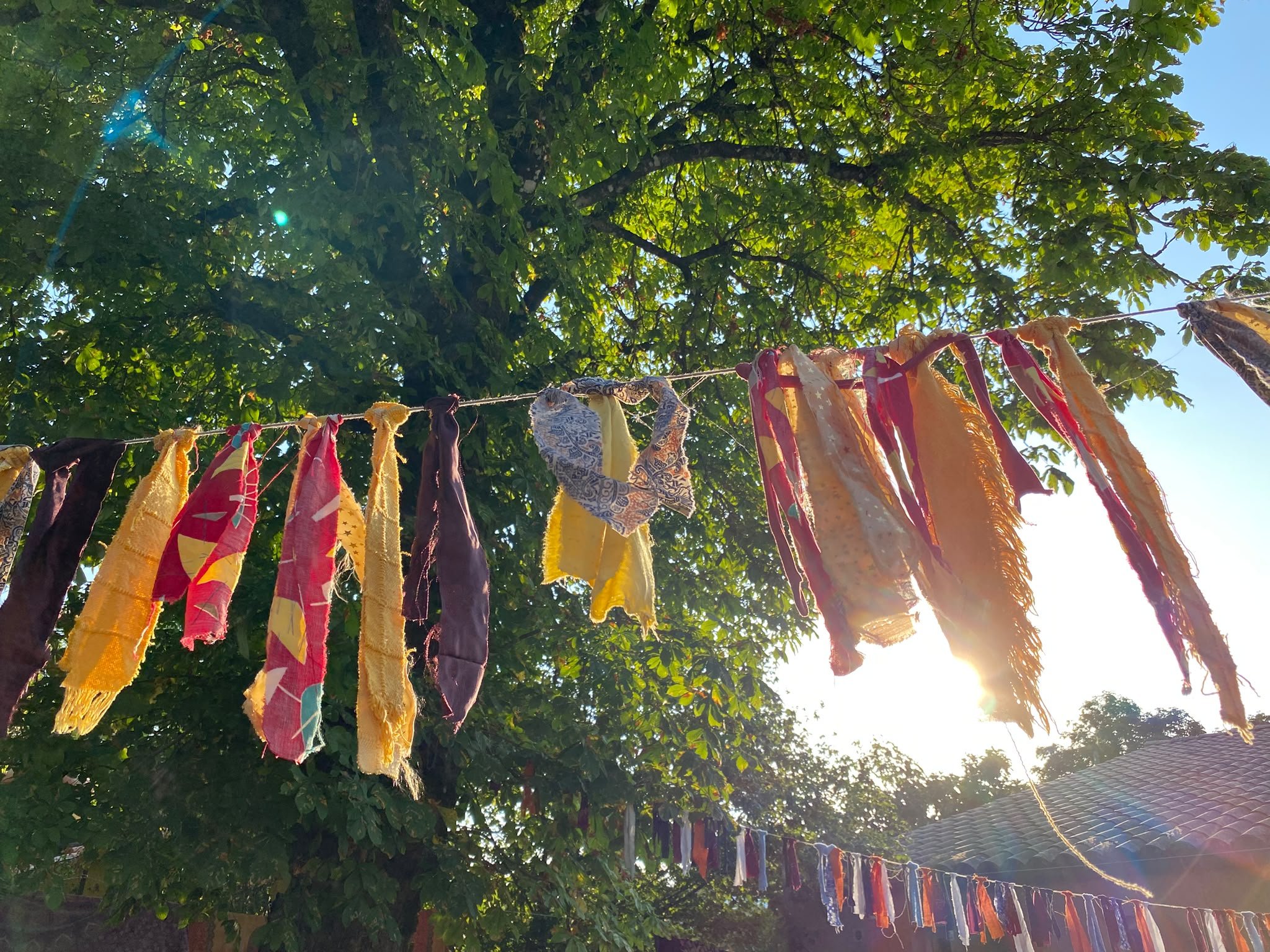 IMG-20260822-WA0013.jpg