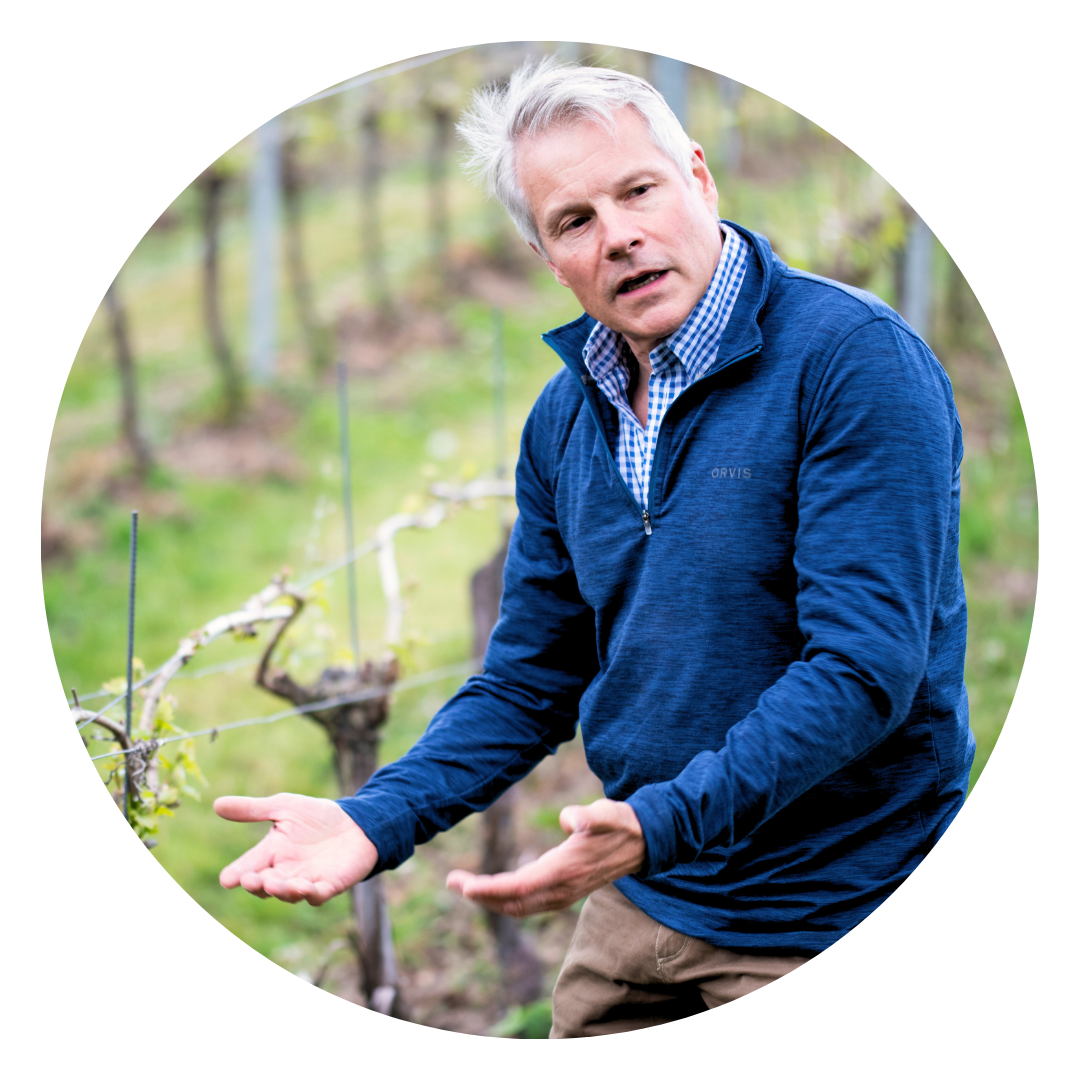 Mark Darley, owner of Enborne VIneyards, and All Angels Sparkling Wine. Seen here in a vineyard setting, talking about viticulture in Berkshire, England.