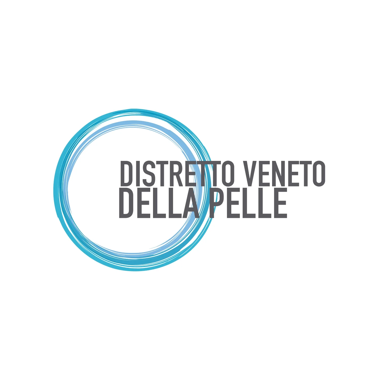 Logo Distretto Veneto della Pelle