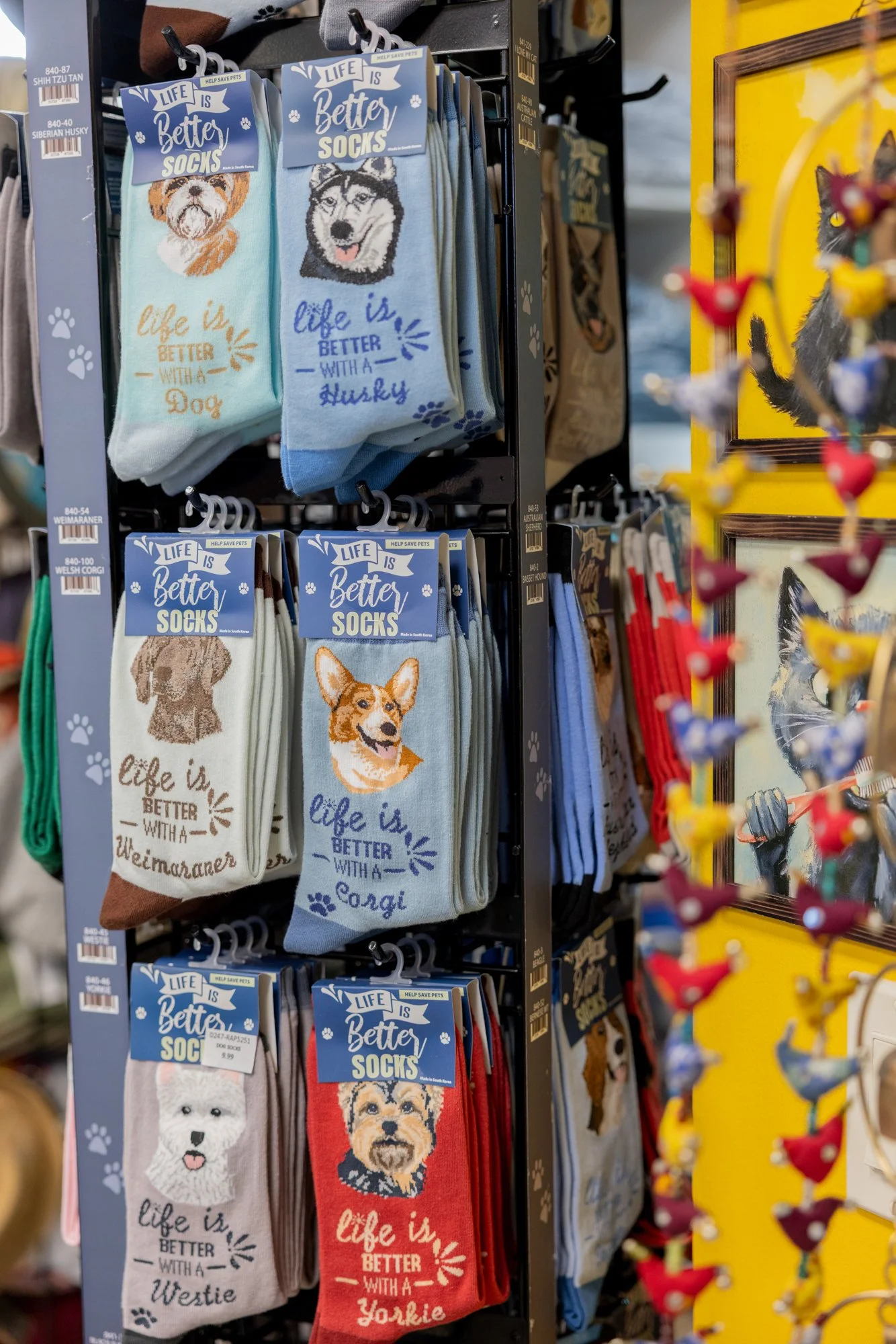 Display of pet-themed socks with various dog breeds and humorous phrases on a store rack.