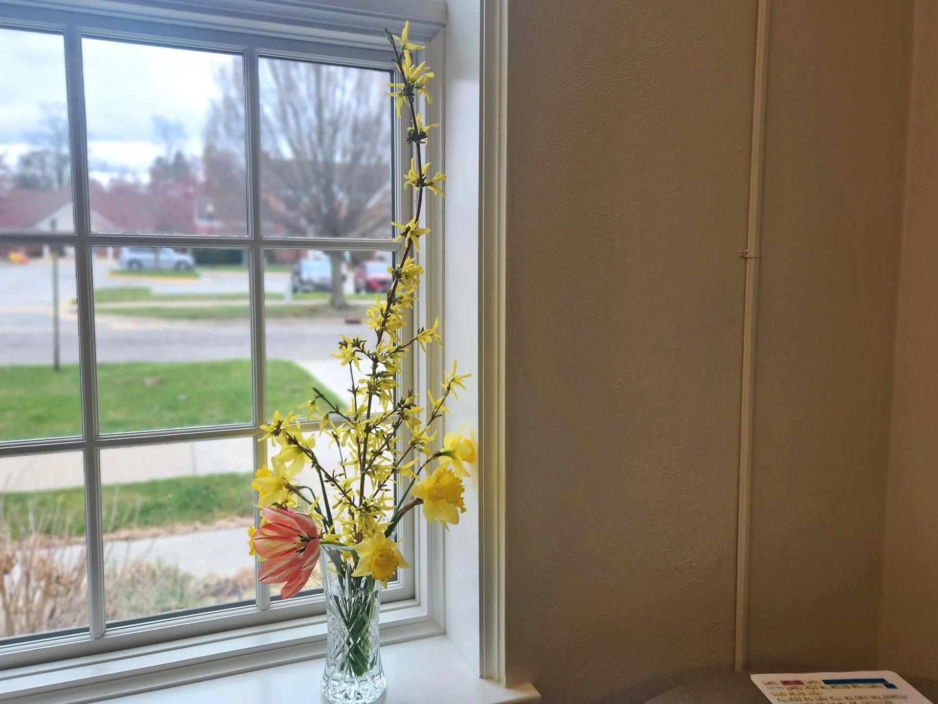 Fresh flowers on a windowsill at Holland Friends Meeting, creating a peaceful and welcoming worship space.
