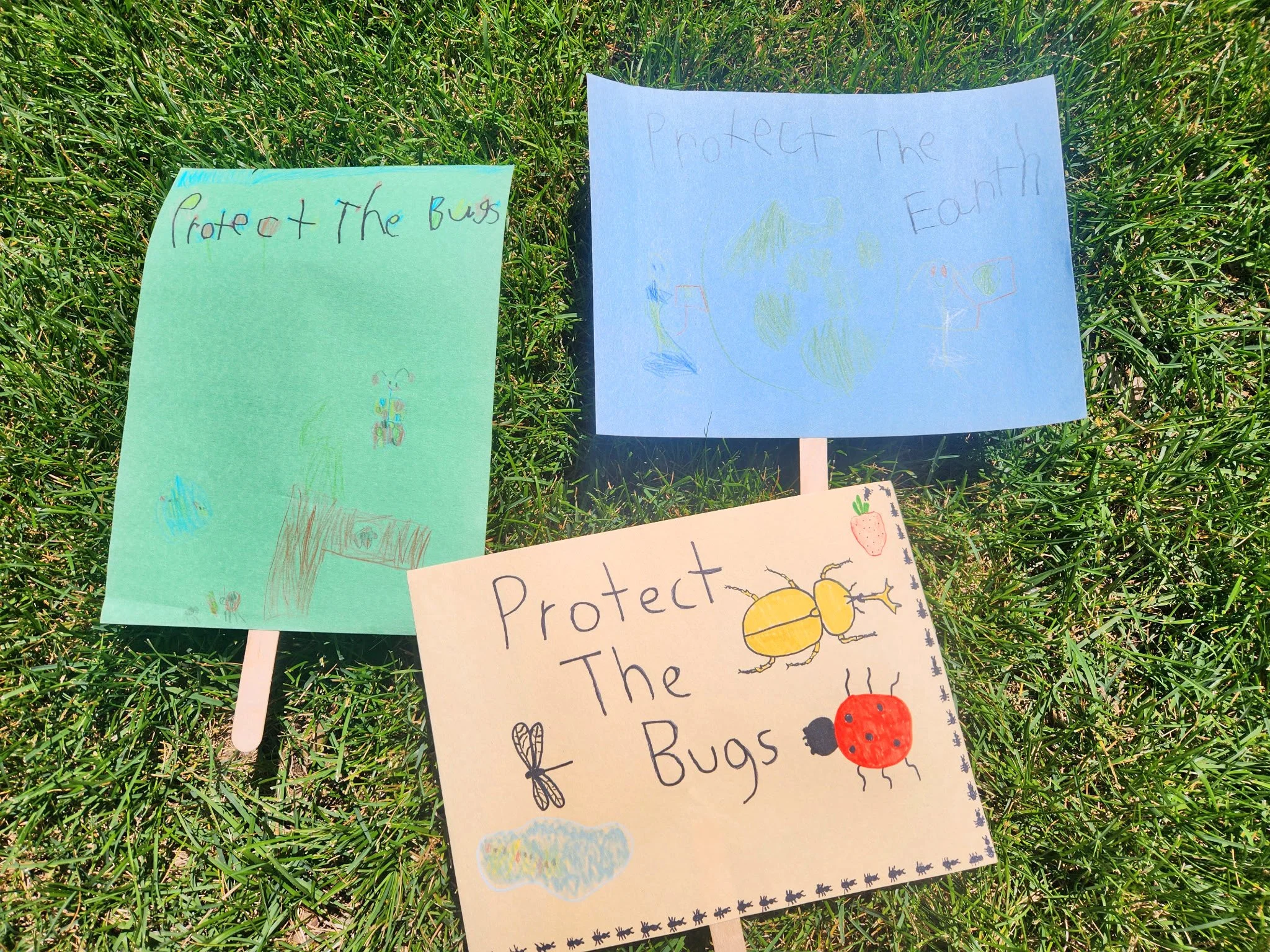 Children's handmade signs encouraging care for the Earth and protecting bugs during a Holland Friends Meeting activity.