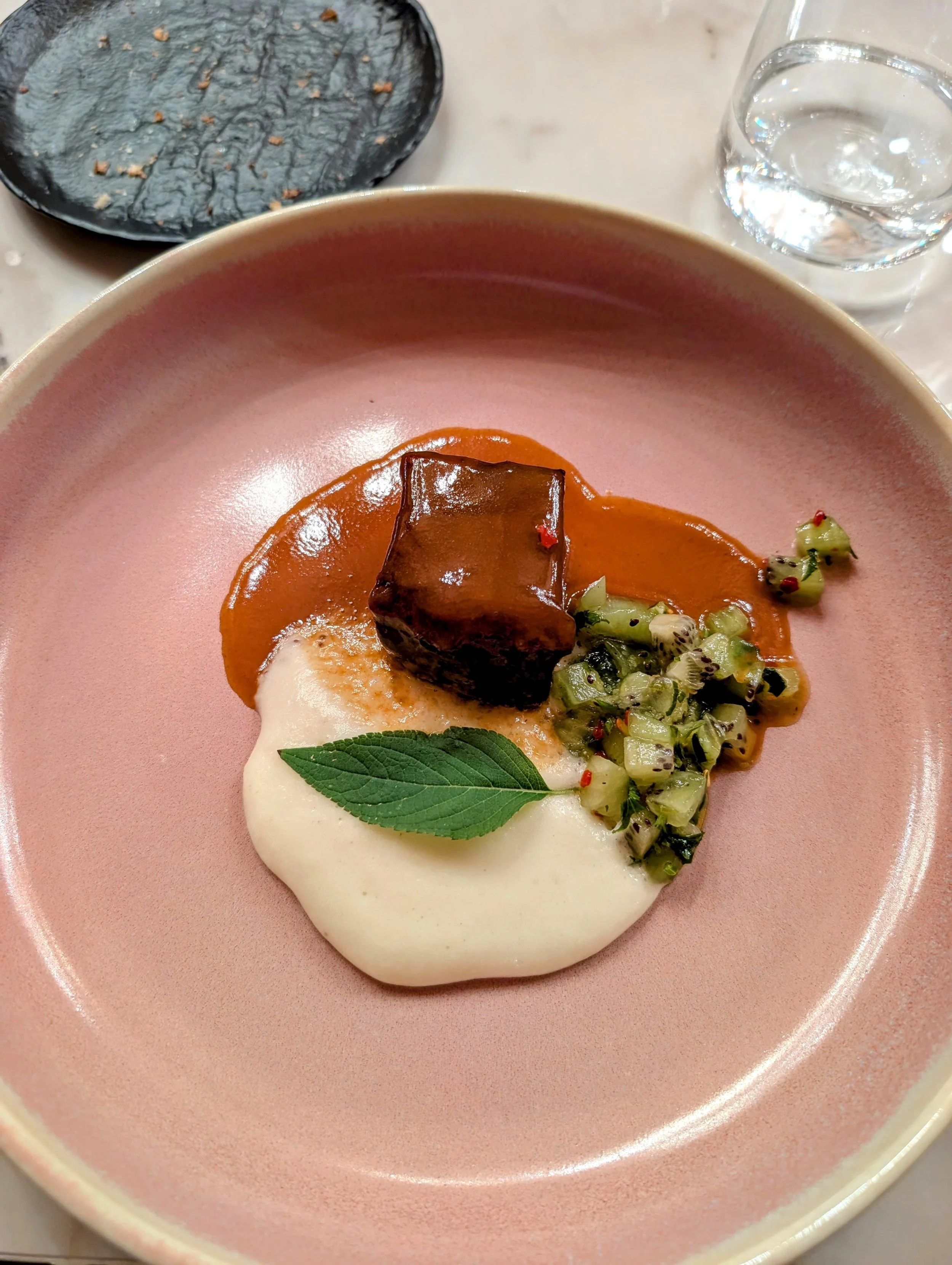 Ein Teller mit einem Stück Fleisch, einer cremigen Soße, gewürzt mit einer grüne Pflanze und einer Mischung aus gehacktem Gemüse, auf einem pinken Teller, mit einem Glas Wasser im Hintergrund.