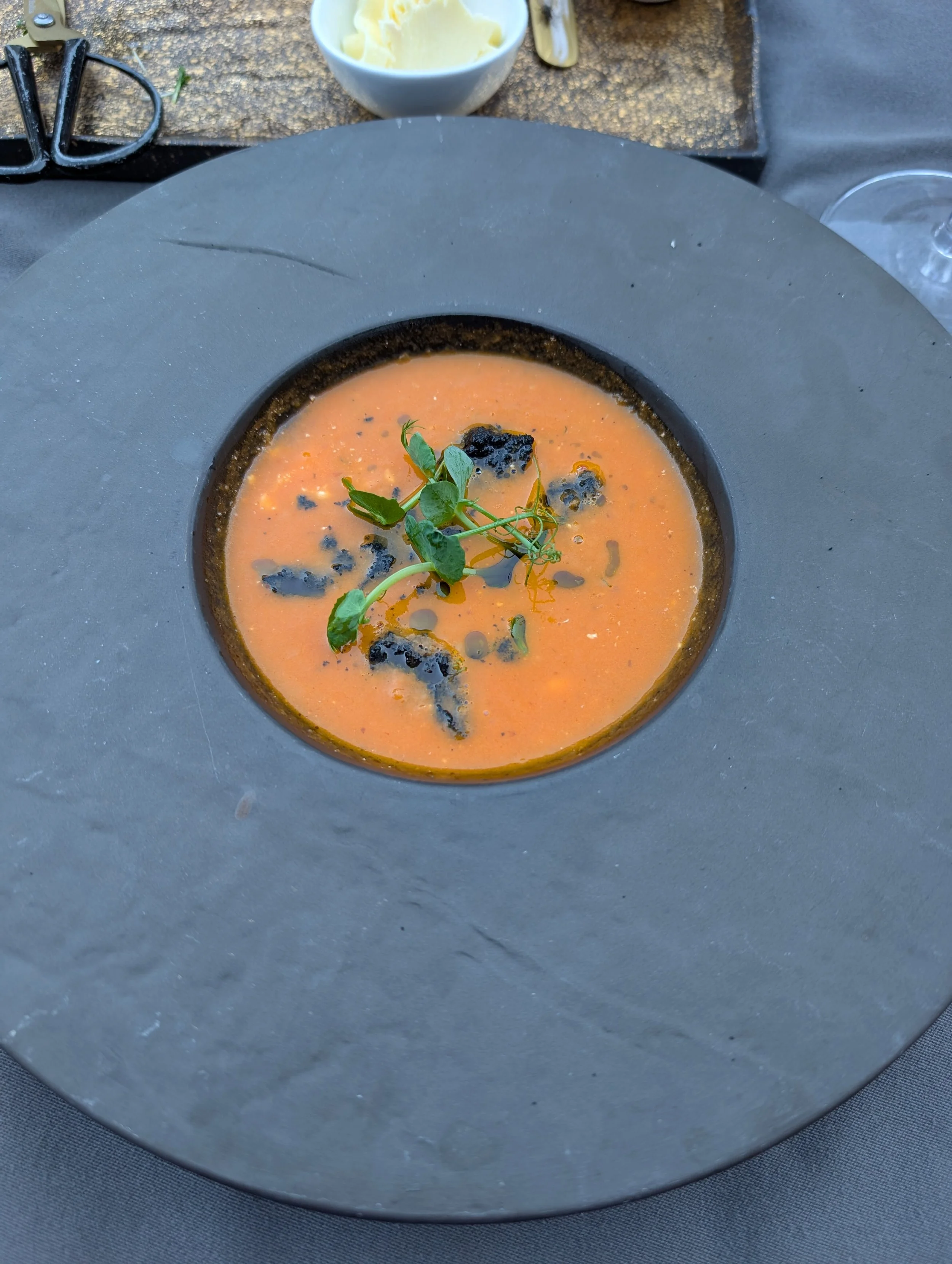 Ein Teller mit roter Suppe, garniert mit grünen Kräutern und schwarzen Krümeln, in einem schwarzen, flachen Shallow-Teller, auf einem grauen Tisch