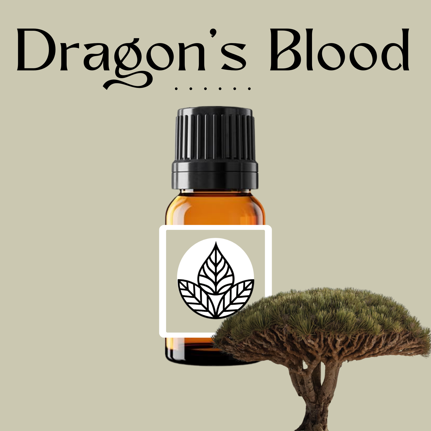 Dragons Blood (2).png