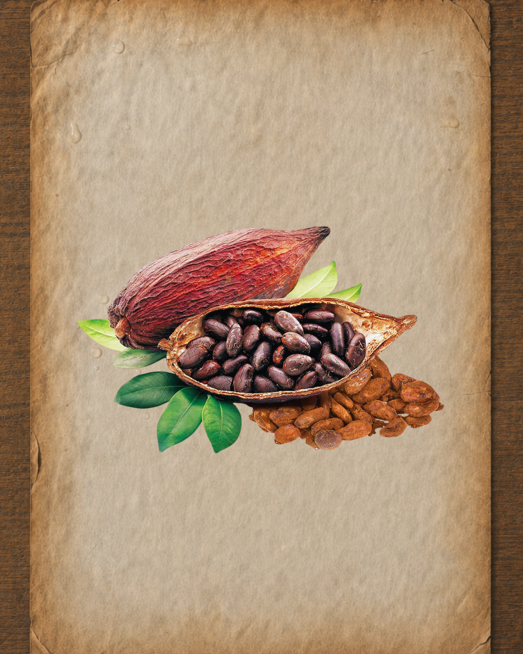 Cacao Essential Oil: A Practitioner’s Guide 