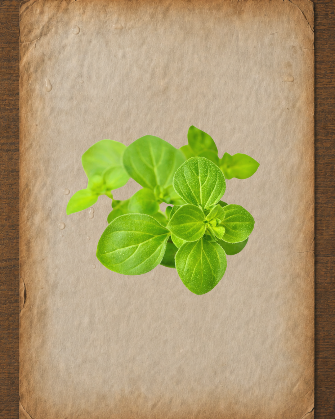 Oregano Essential Oil: A Practitioner’s Guide
