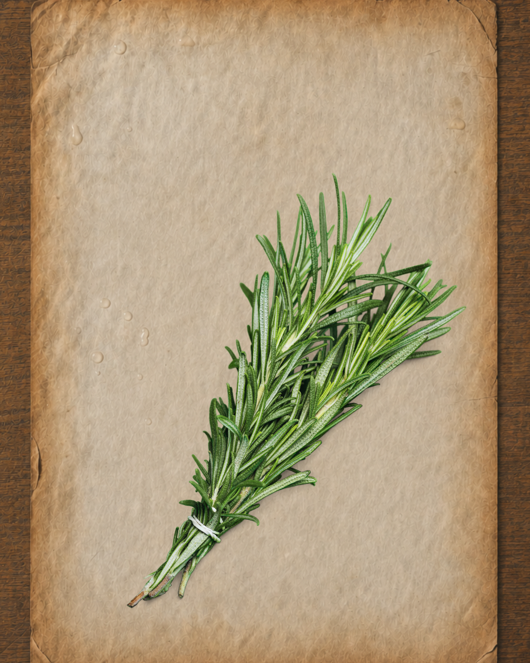 Rosemary Essential Oil: A Practitioner’s Guide