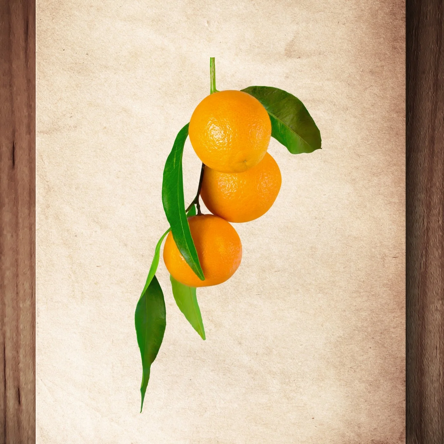 Tangerine Essential Oil: A Practitioner’s Guide