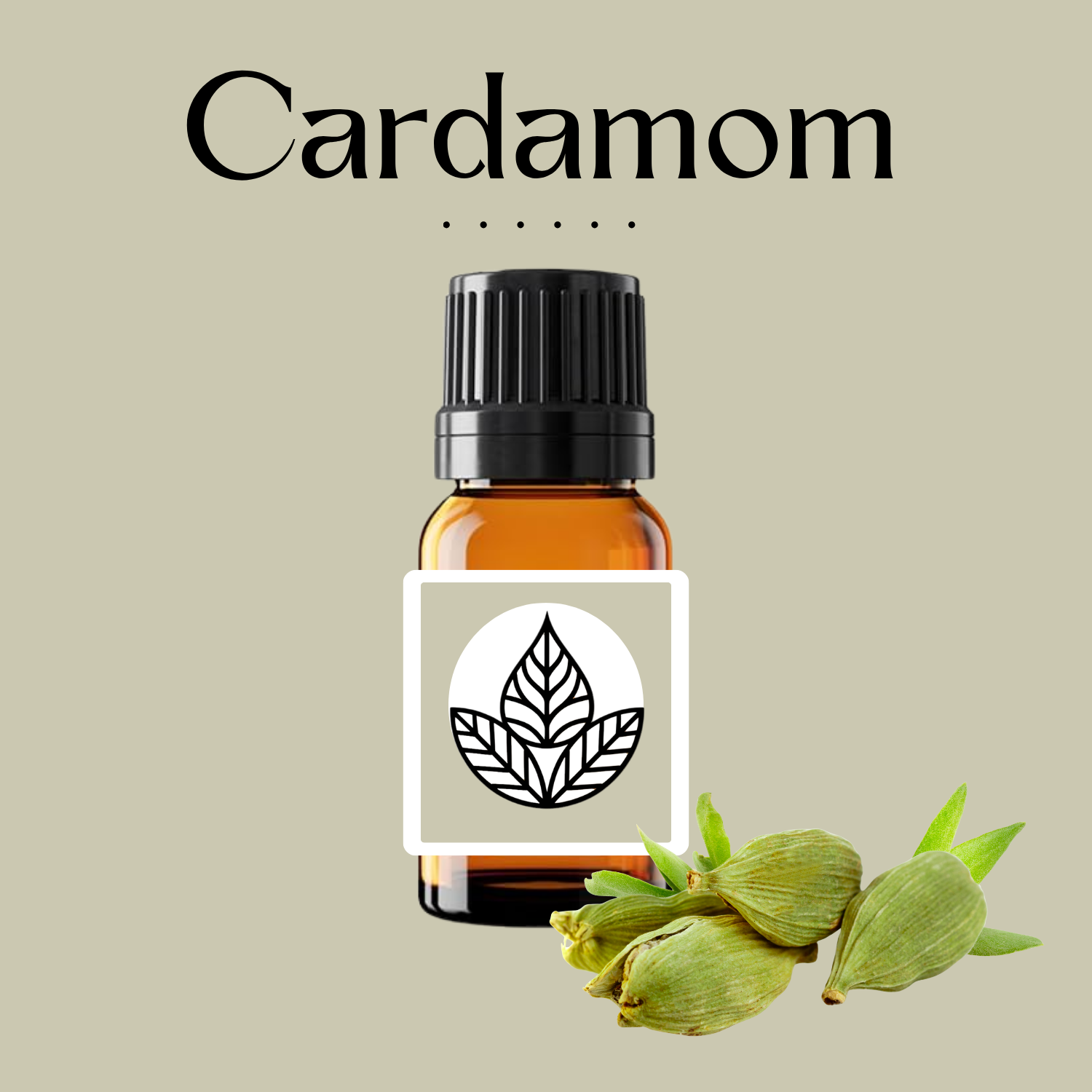 Cardamom