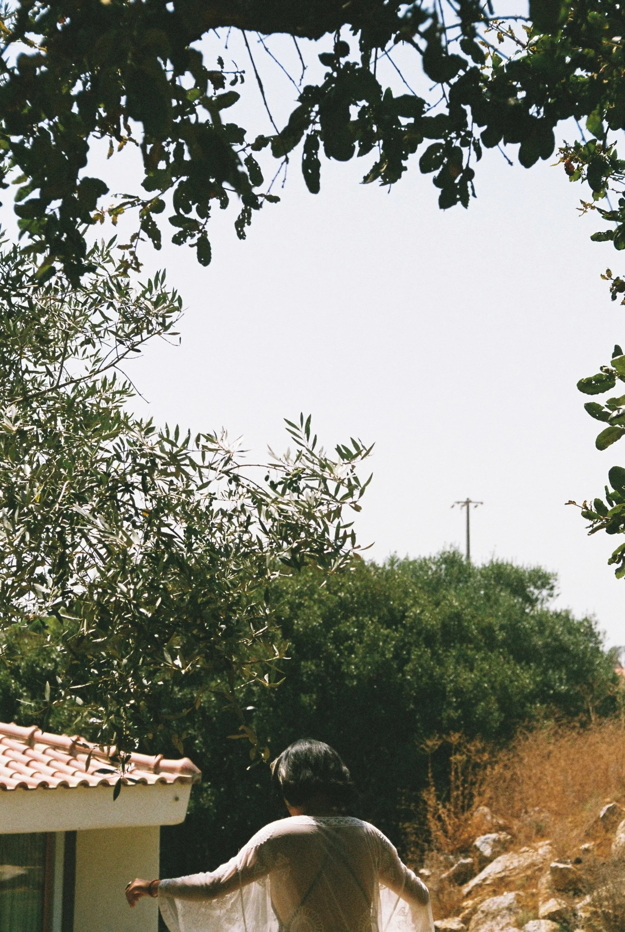 Fabiana+Tavares-37.jpg