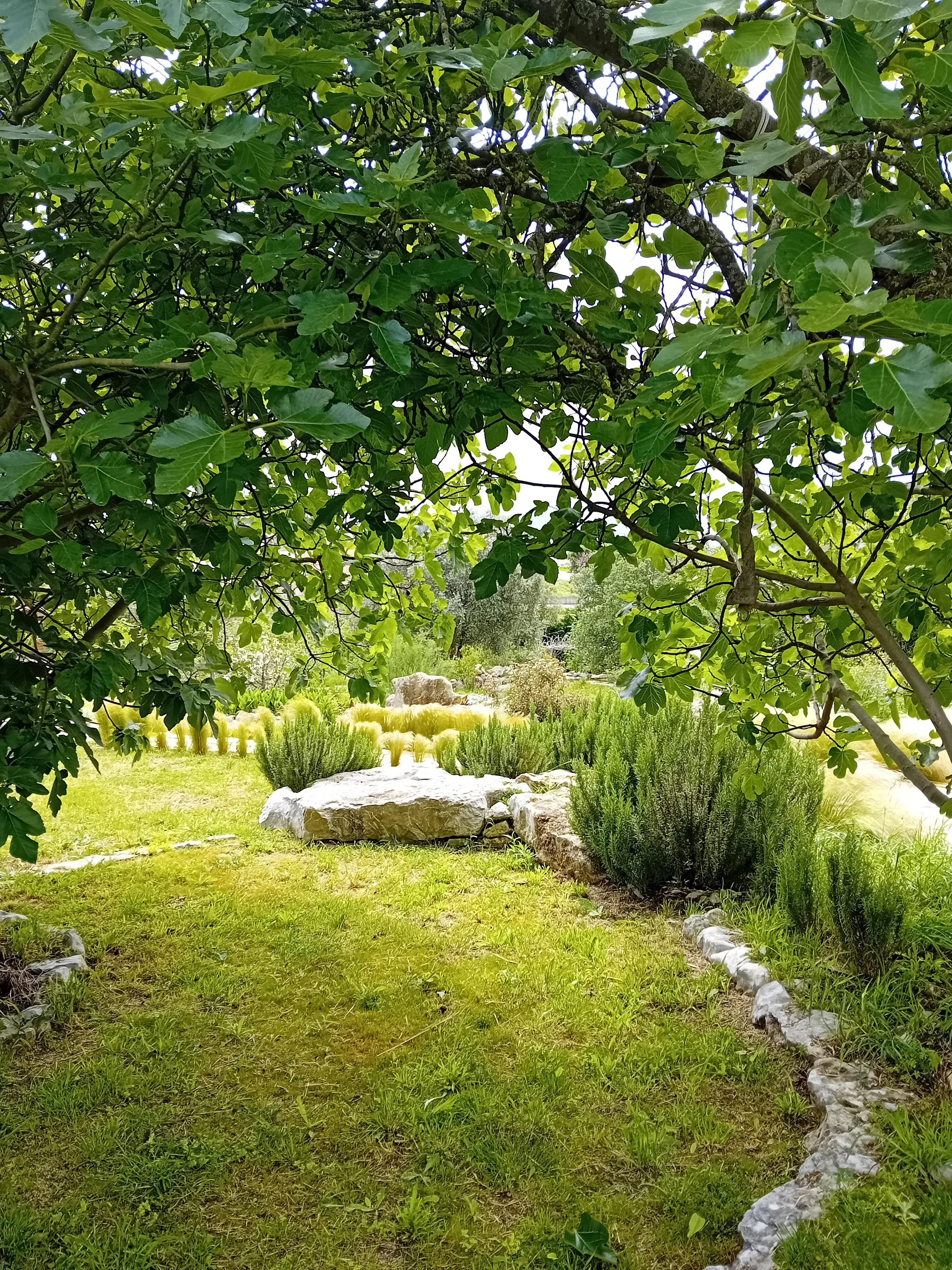 Magic Garden