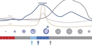 Screenshot 2026-01-29 152541.png (Copy)