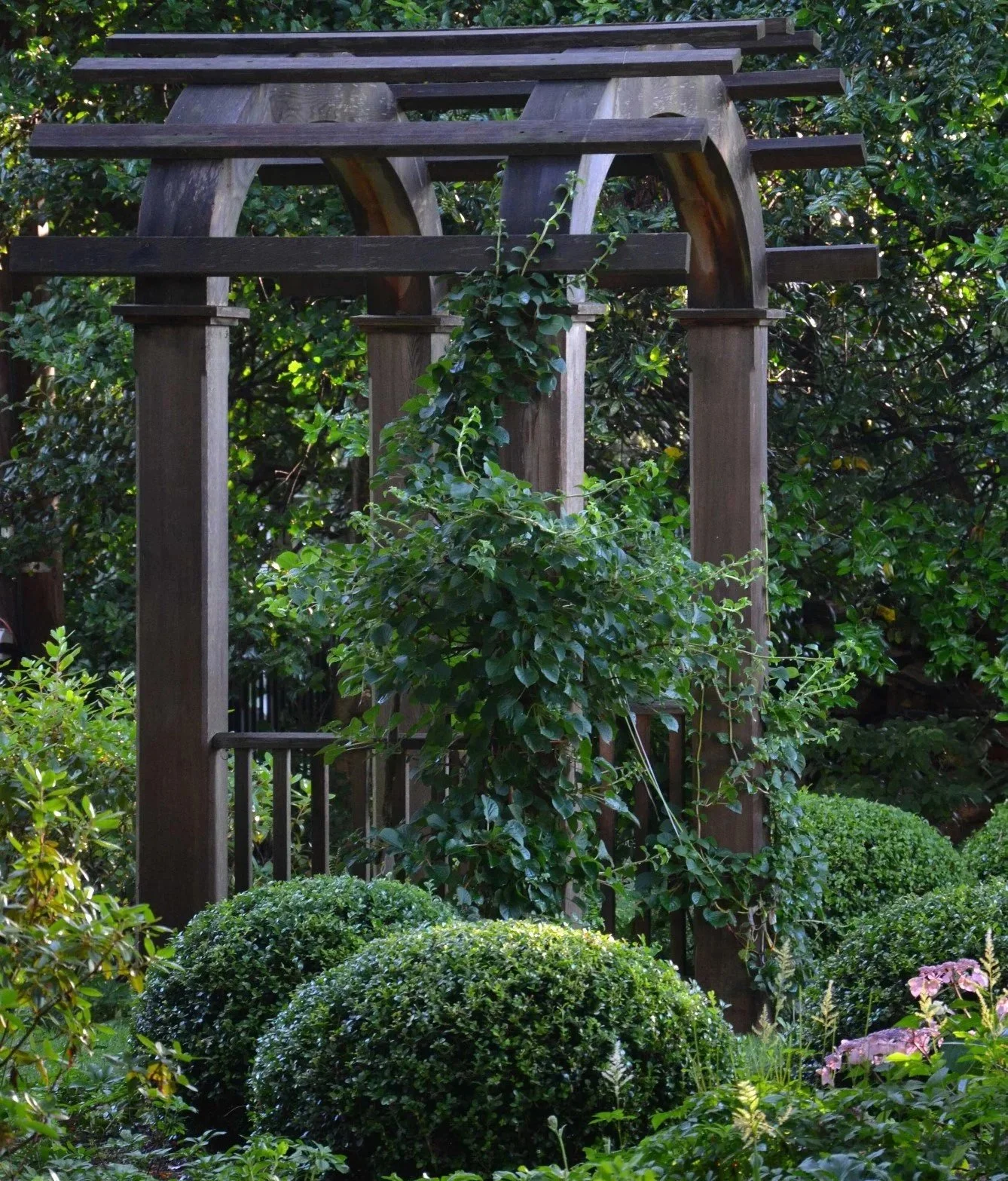 Coleman+Trellis.jpg