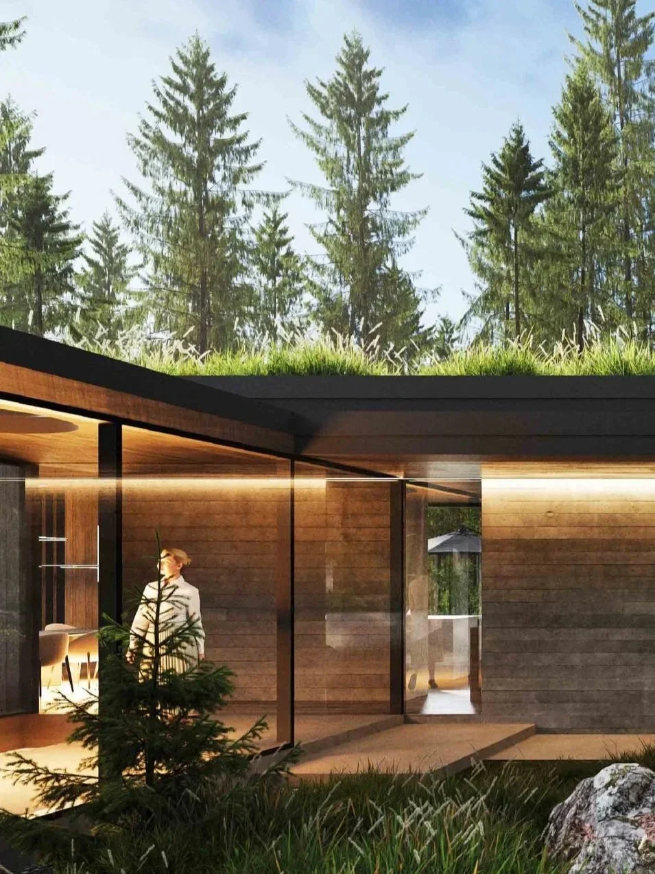 blue-ridge-lake-house-forest-villa-green-roof-glass-walls-virginia-kimmel-architects.webp