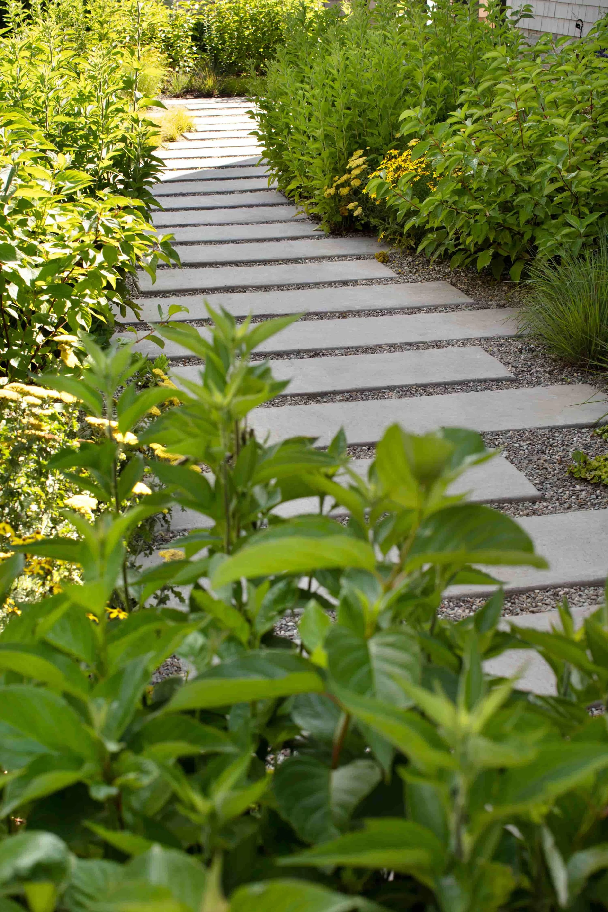 architecture-annapolis-stone-walkway-kimmel-architects.jpg