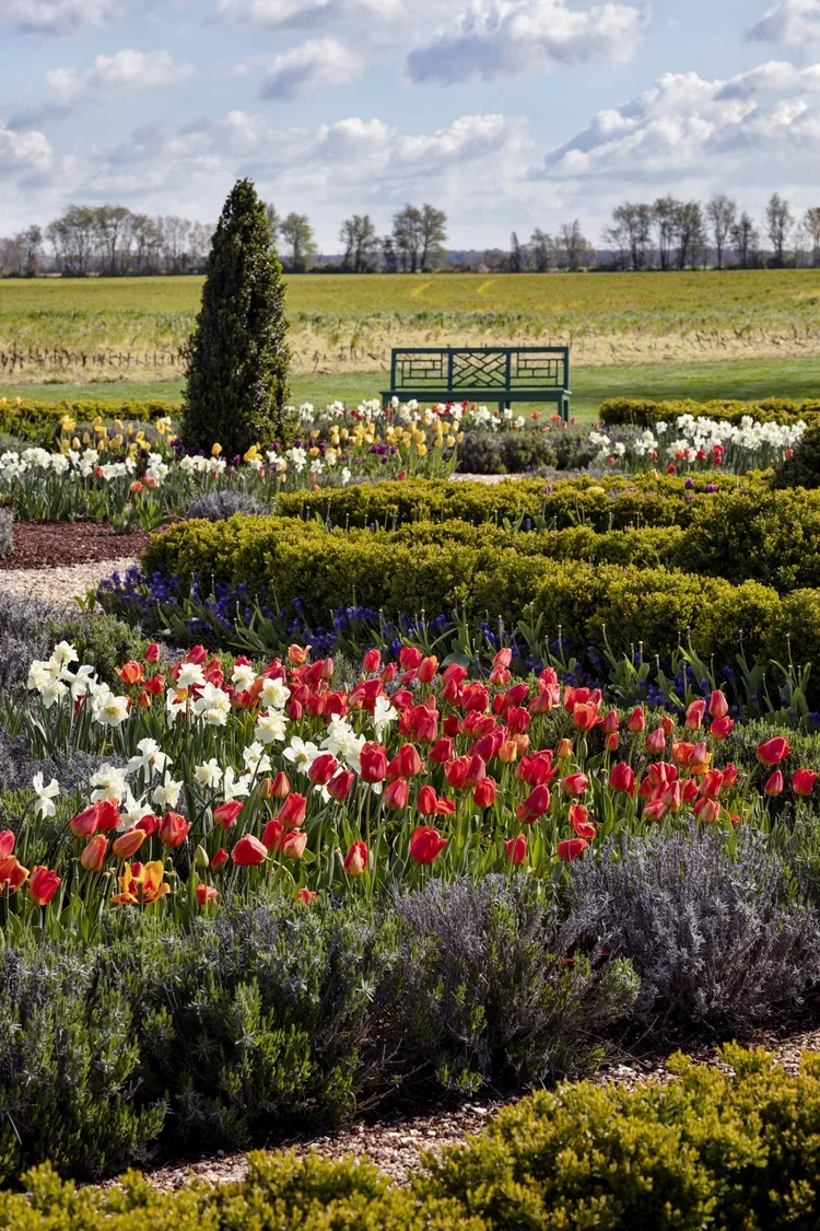 historic-preservation-process-cloverfields-formal-flower-gardens-kimmel-architects.webp
