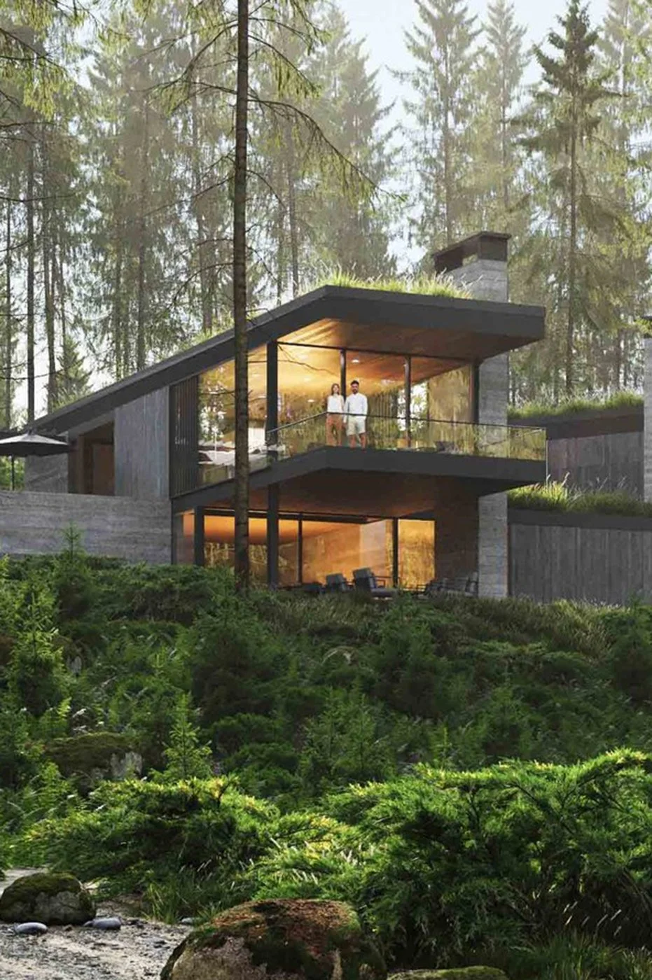 BLUE RIDGE LAKE HOUSE