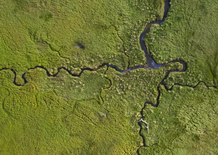 sustainability-architecture-design-aerial-river-delta-topography-kimmel-architects.webp