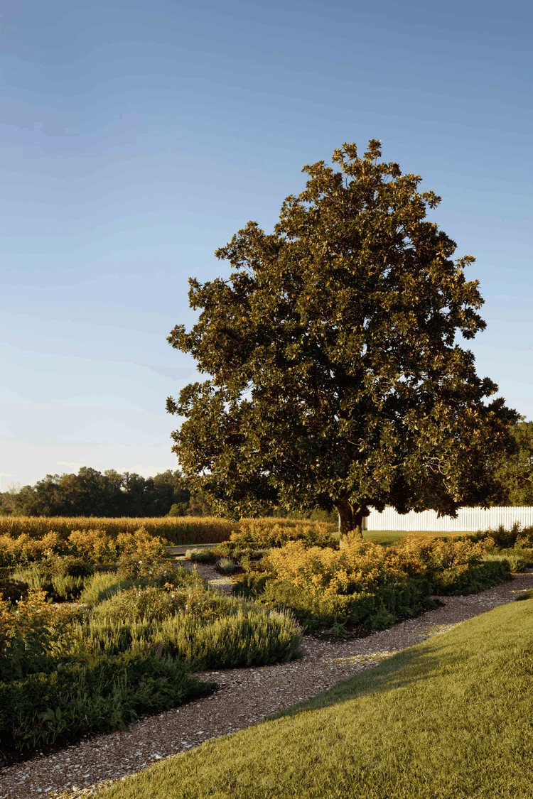 historic-house-renovation-garden-pathway-tree-queenstown-md-kimmel-architects.png