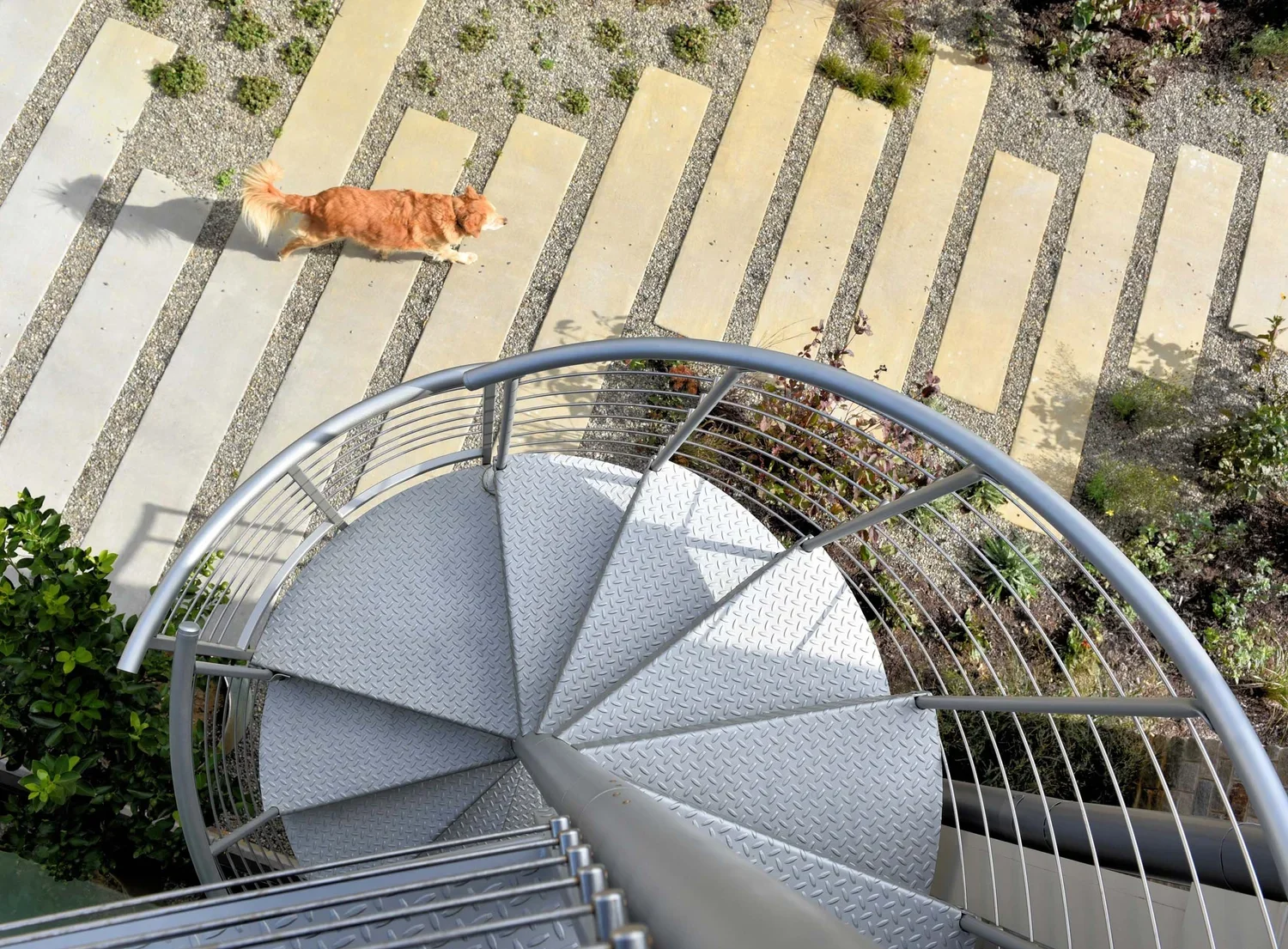 tidewater-modern-house-modern-spiral-staircase-steppers-annapolis-md-kimmel-architects.webp