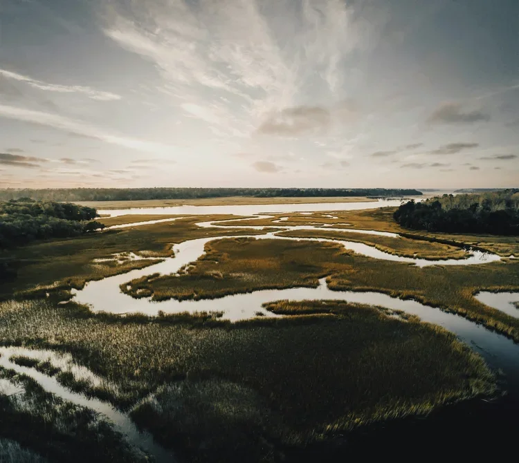 sustainability-architecture-design-coastal-wetlands-kimmel-architects.webp