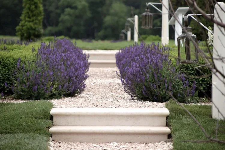 architecture-cloverfields-lavender-steps-kimmel-architects.webp