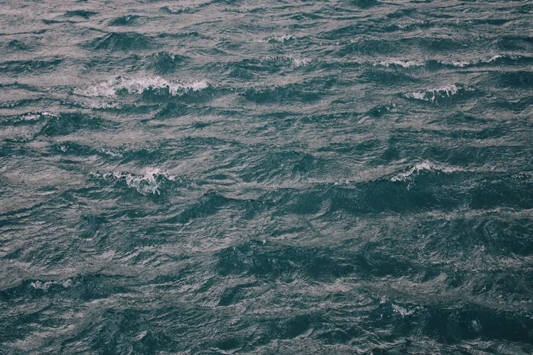 sustainability-architecture-design-ocean-water-conservation-kimmel-architects.webp