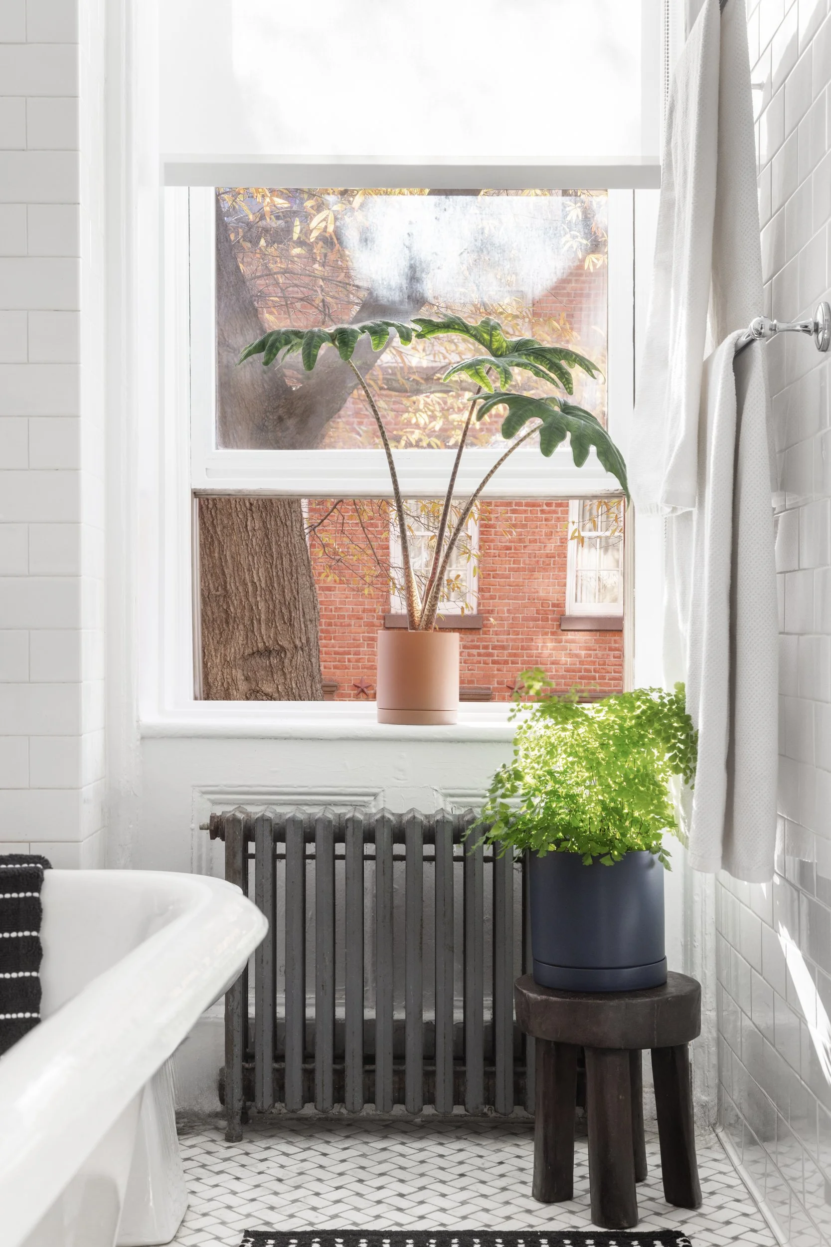 Bathroom with a bathtub, white subway tile walls, a window with plants, and a black radiator.