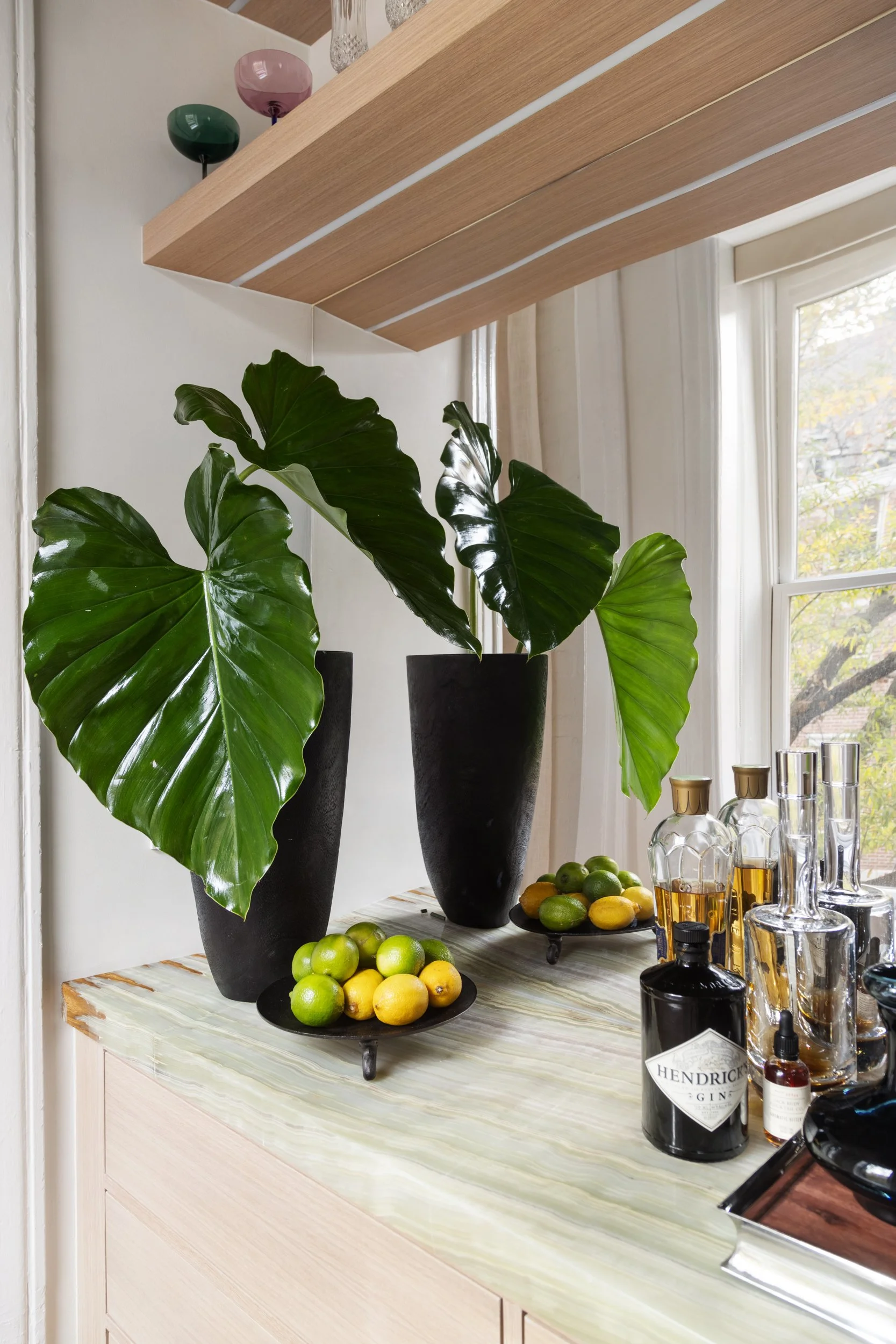 Indoor scene with two black vases containing large green leafy plants on a marble countertop, surrounded by bowls of lemons and limes, and glass bottles and jars.