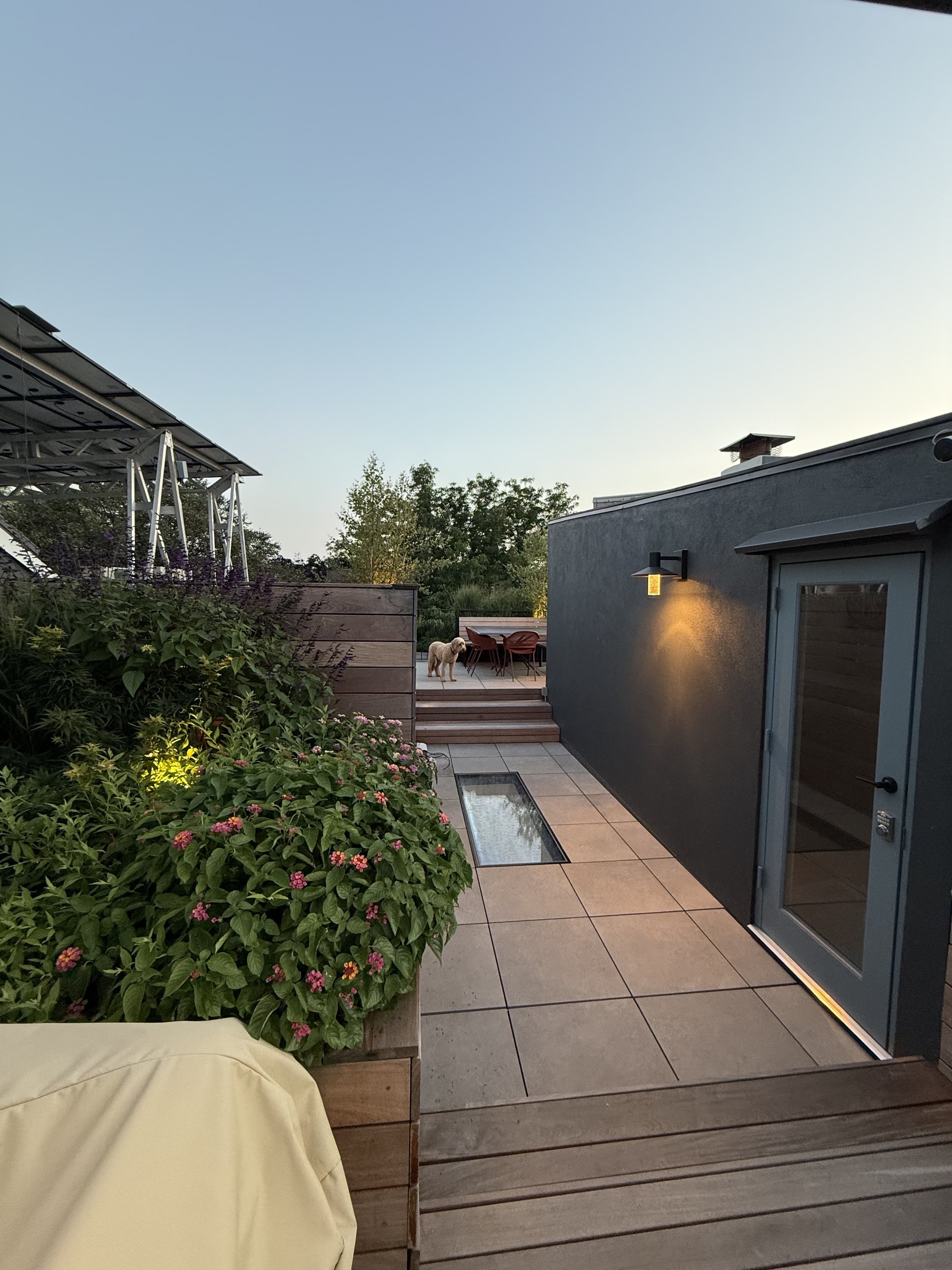 Rooftop patio with potted plants, outdoor table and chairs, dog, and modern exterior lighting, at dusk.