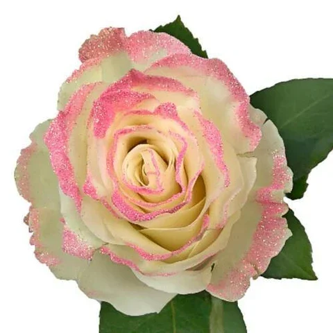 SINGLE PINK GLITTER ROSE