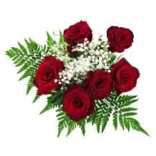 6 roses.jpeg