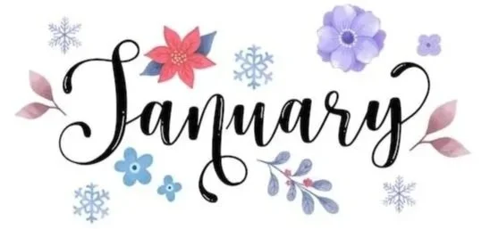 Decorative January banner with snowflakes, flowers, and leaves in pastel colors.