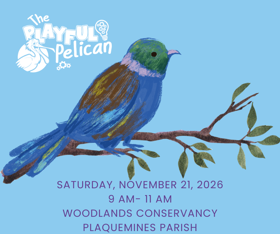 Bird Festival at The Woodlands Conservancy 