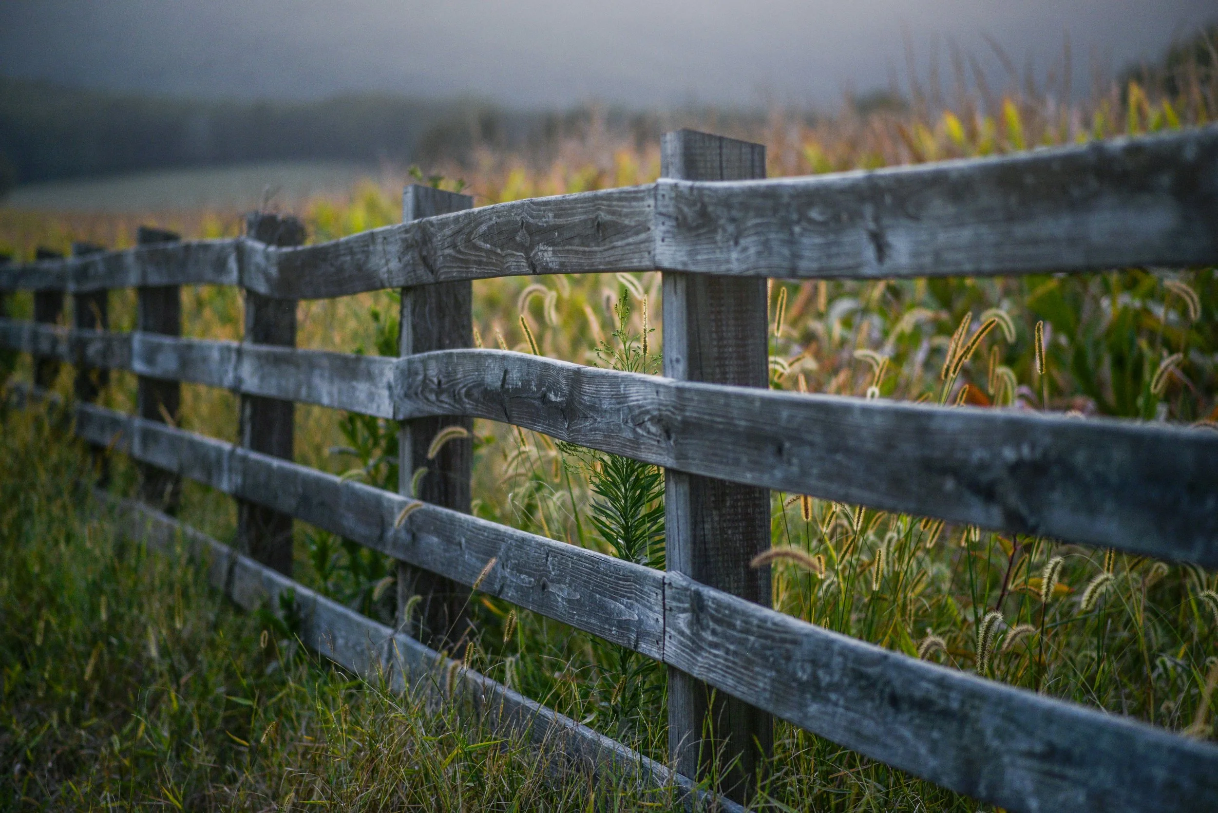 When Faith Becomes a Fence: Spiritual Bypassing and Self-Sabotage