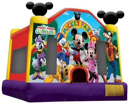 Bounce, Inflatable, Montana, Party, Rental