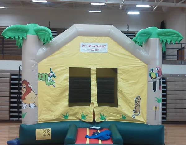 Bounce, Inflatable, Montana, Party, Rental