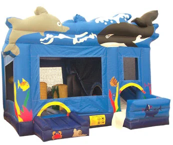 Combo, Inflatable, Bounce, House, Montana, Party, Rental