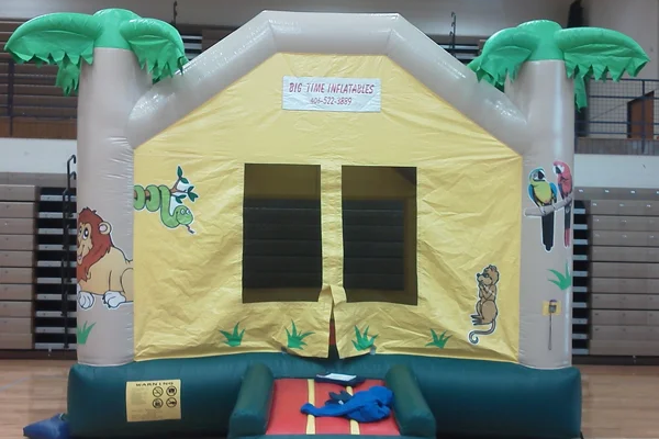 Bounce, Inflatable, Montana, Party, Rental