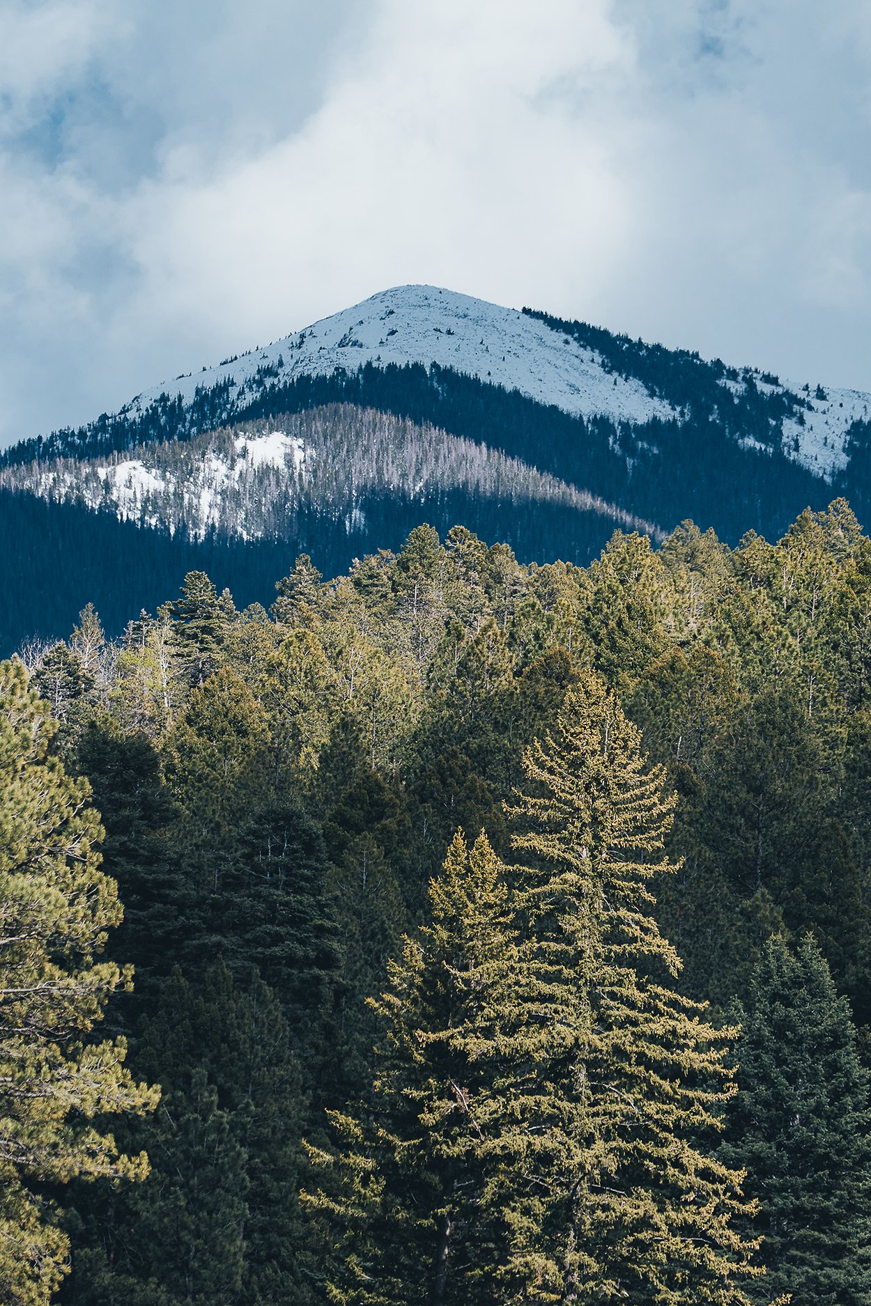 NorthTruchasPeak_SP26_web.jpg